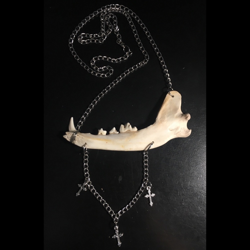 SOLD - COYOTE JAW BONE NECKLACE - ETHICALLY SOURCED! - Picture 4 of 7